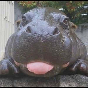 Meet your Posher, Marco